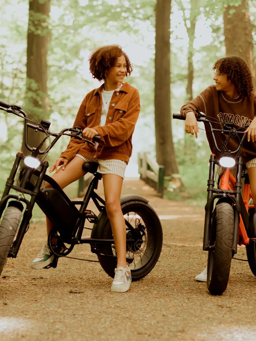 Astonic e-fatbikes Breeze Special